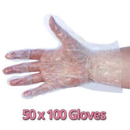 Poly Gloves Boxed